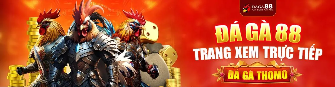 Đá gà trực tuyến VN100 Win với các trận đấu sôi động